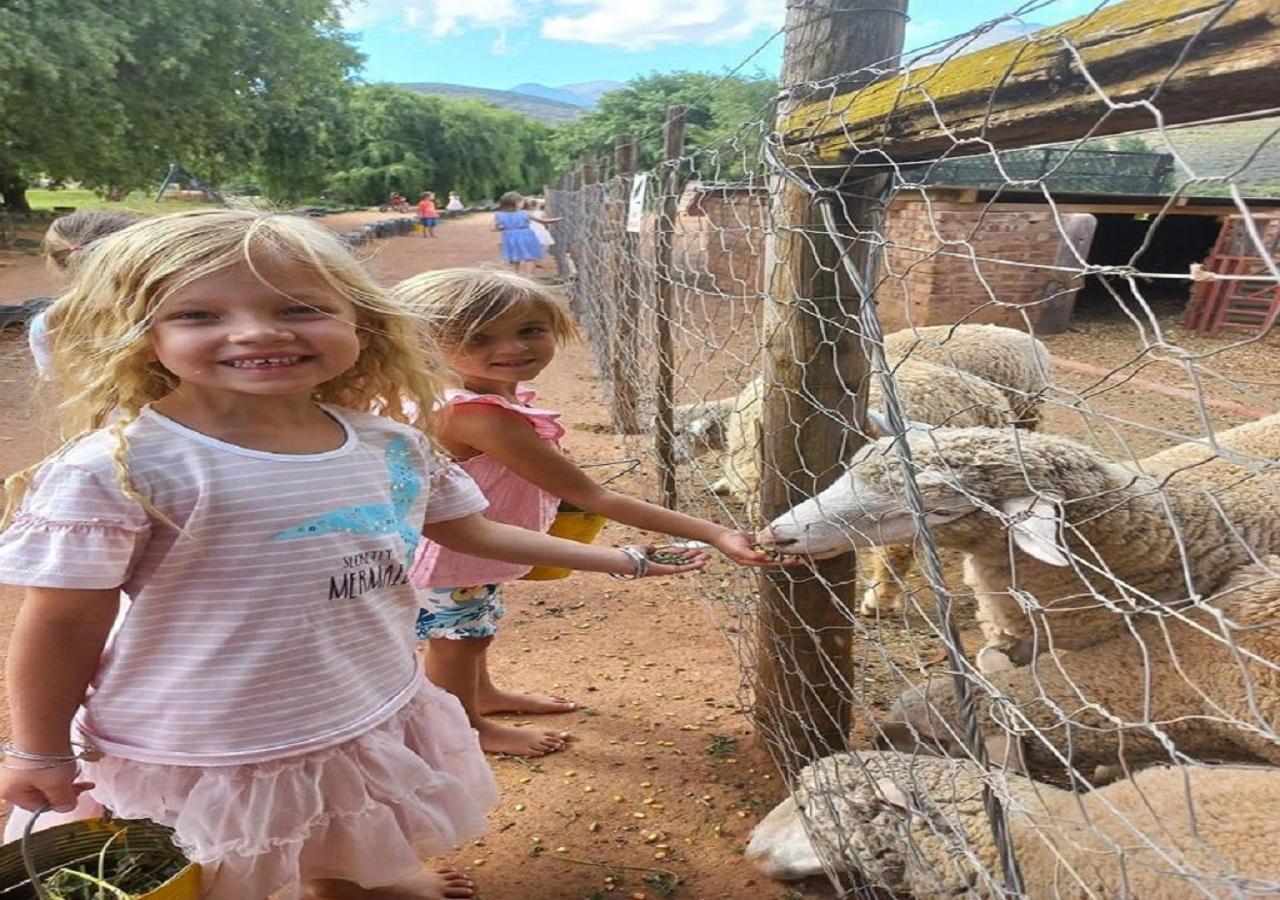 Wilgewandel Holiday Farm & Day Restaurant Oudtshoorn Kültér fotó