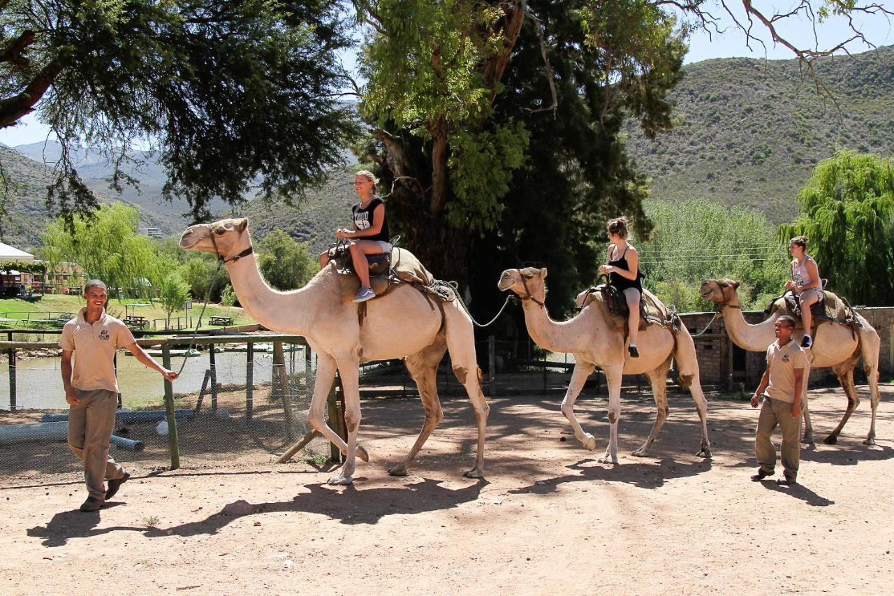 Wilgewandel Holiday Farm & Day Restaurant Oudtshoorn Kültér fotó