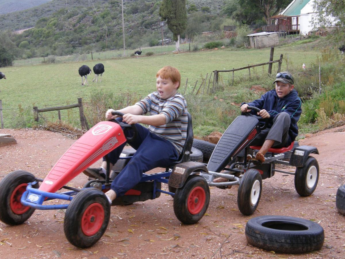 Wilgewandel Holiday Farm & Day Restaurant Oudtshoorn Kültér fotó