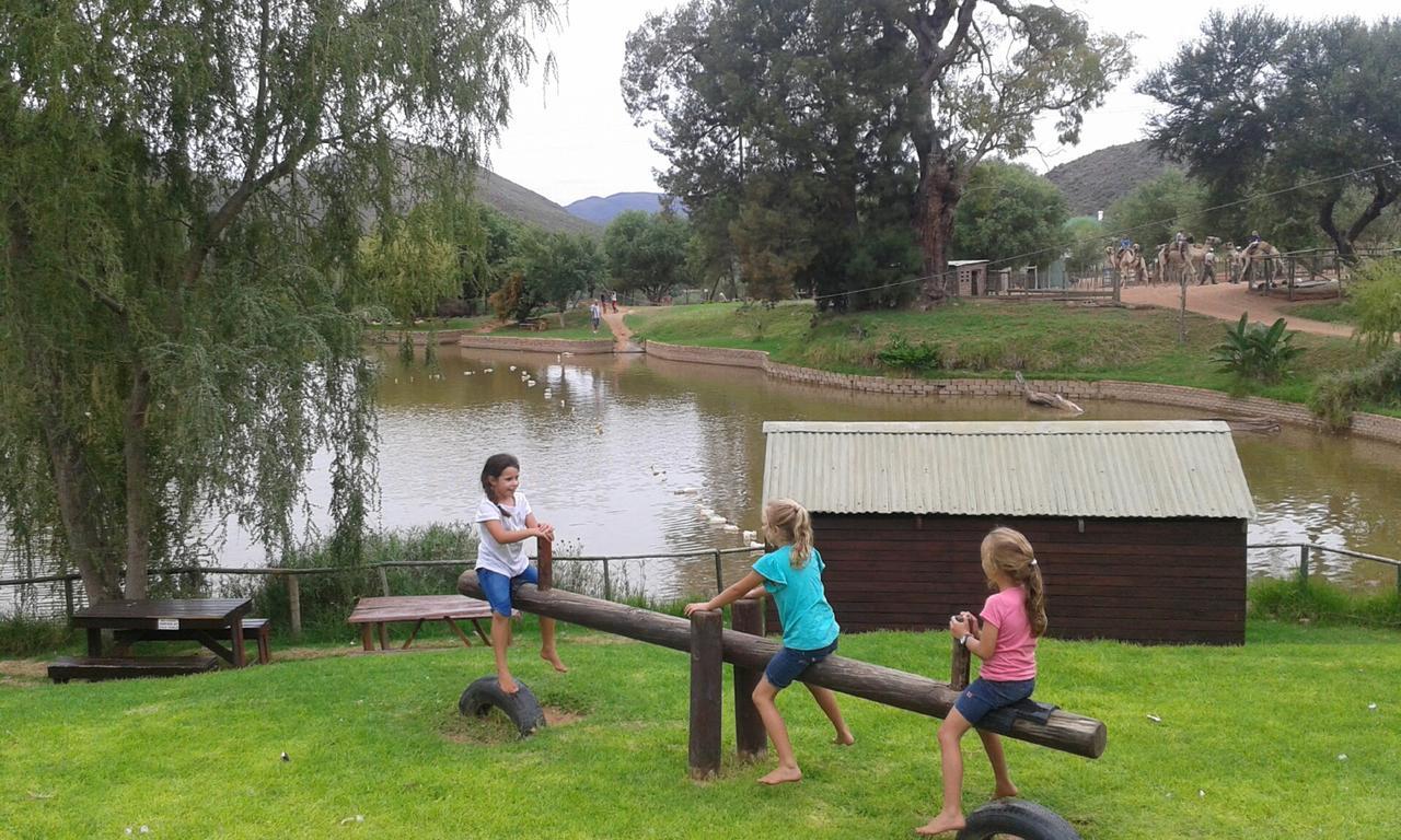 Wilgewandel Holiday Farm & Day Restaurant Oudtshoorn Kültér fotó