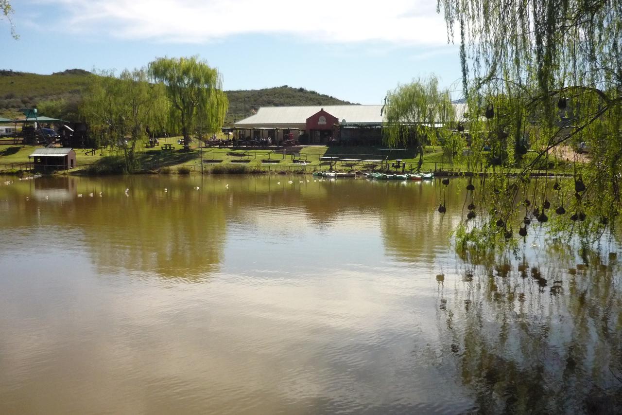 Wilgewandel Holiday Farm & Day Restaurant Oudtshoorn Kültér fotó