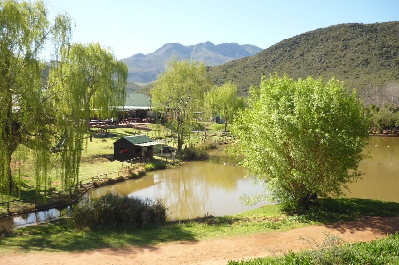Wilgewandel Holiday Farm & Day Restaurant Oudtshoorn Kültér fotó
