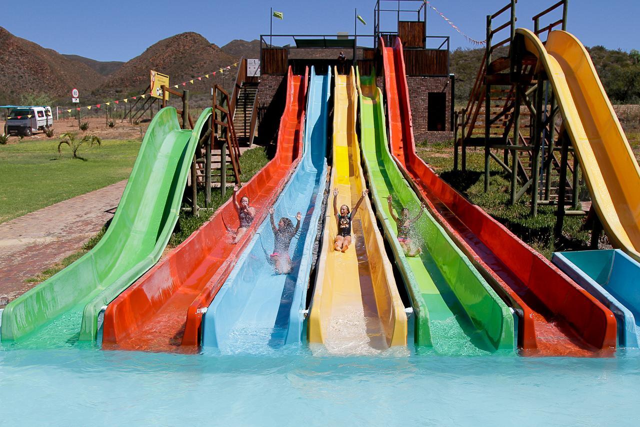 Wilgewandel Holiday Farm & Day Restaurant Oudtshoorn Kültér fotó